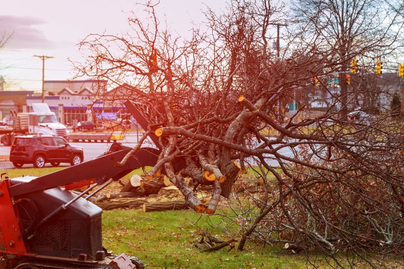 Land Preparation Service in Salt Lake City, UT